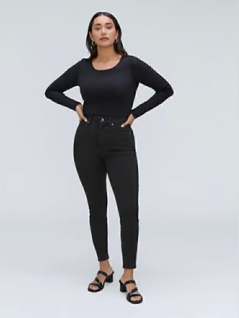 New Everlane The Curvy Way-High® Skinny Jean in Ash Size 26 Crop